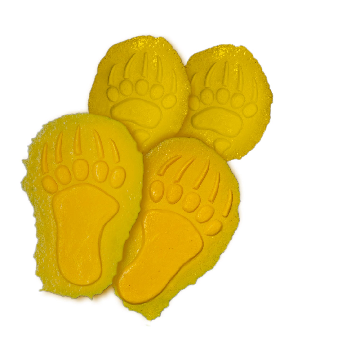 Animal Track Stamp - Bear (4/Set)