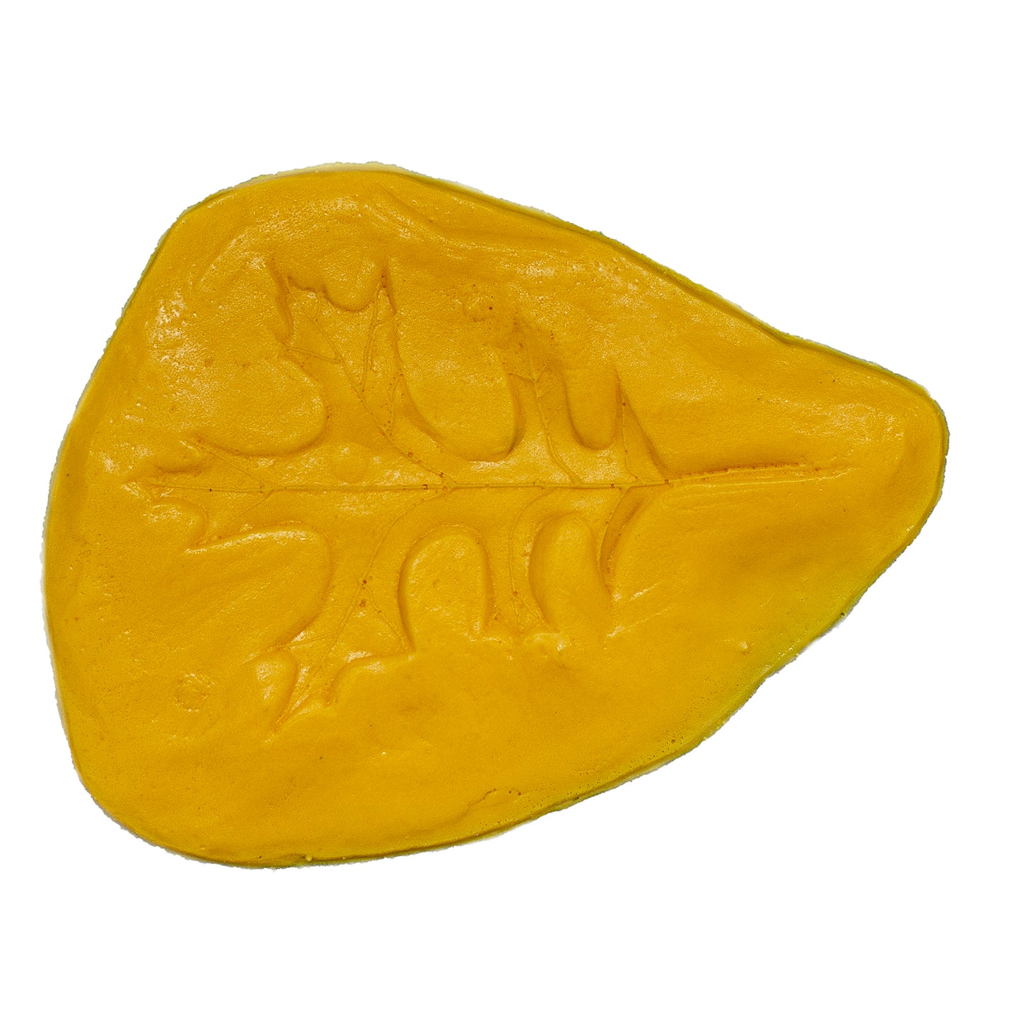 Plant Leaf Stamp - Single Oak Leaf