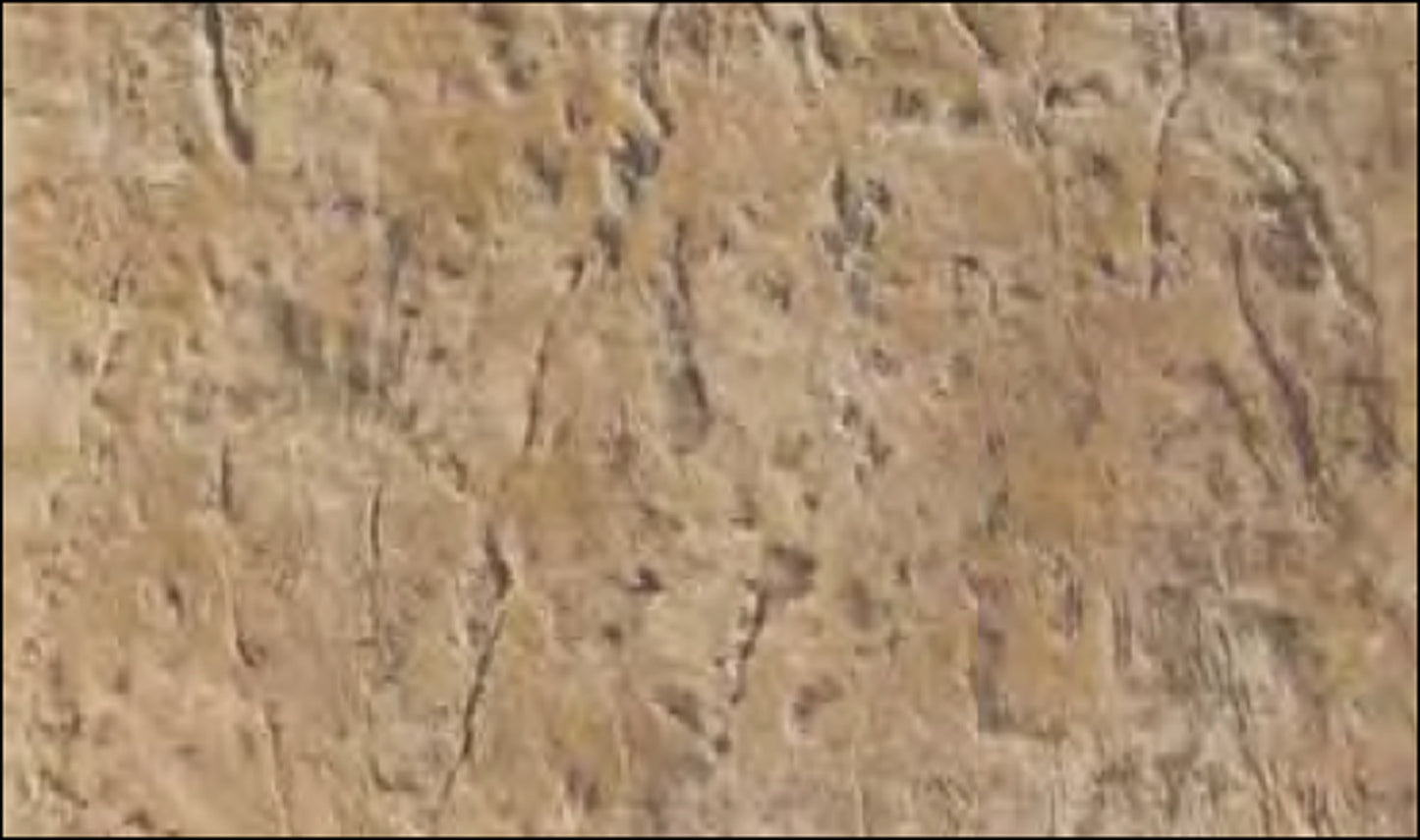 Textura de piel - Pizarra - 30 x 30 cm