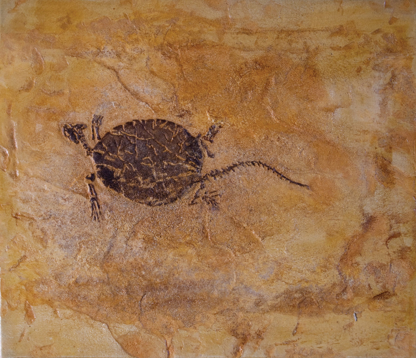 Fossil Stamp - Turtle