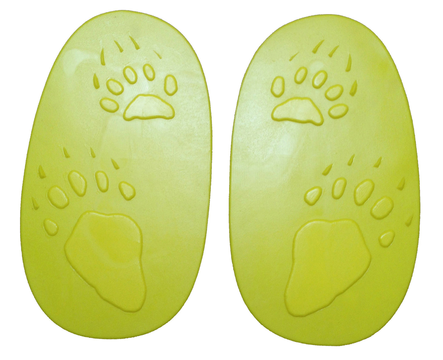 Animal Track Stamp - Grizzly Bear