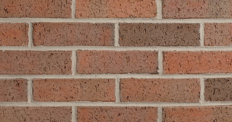 Autumn Harvest Blend Brick