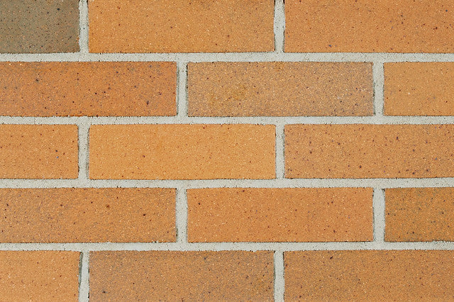 Goldenrod Ironspot Smooth Brick
