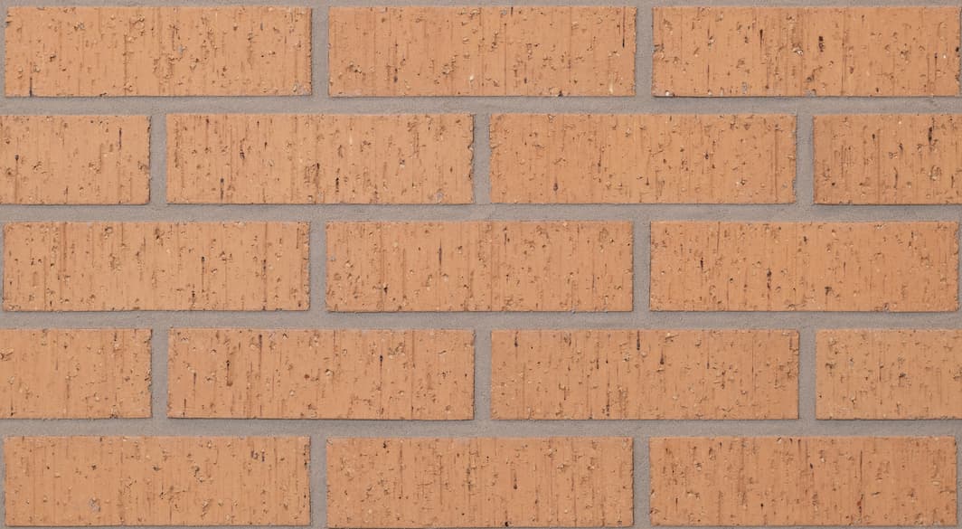 Ladrillo de la sala de barricas