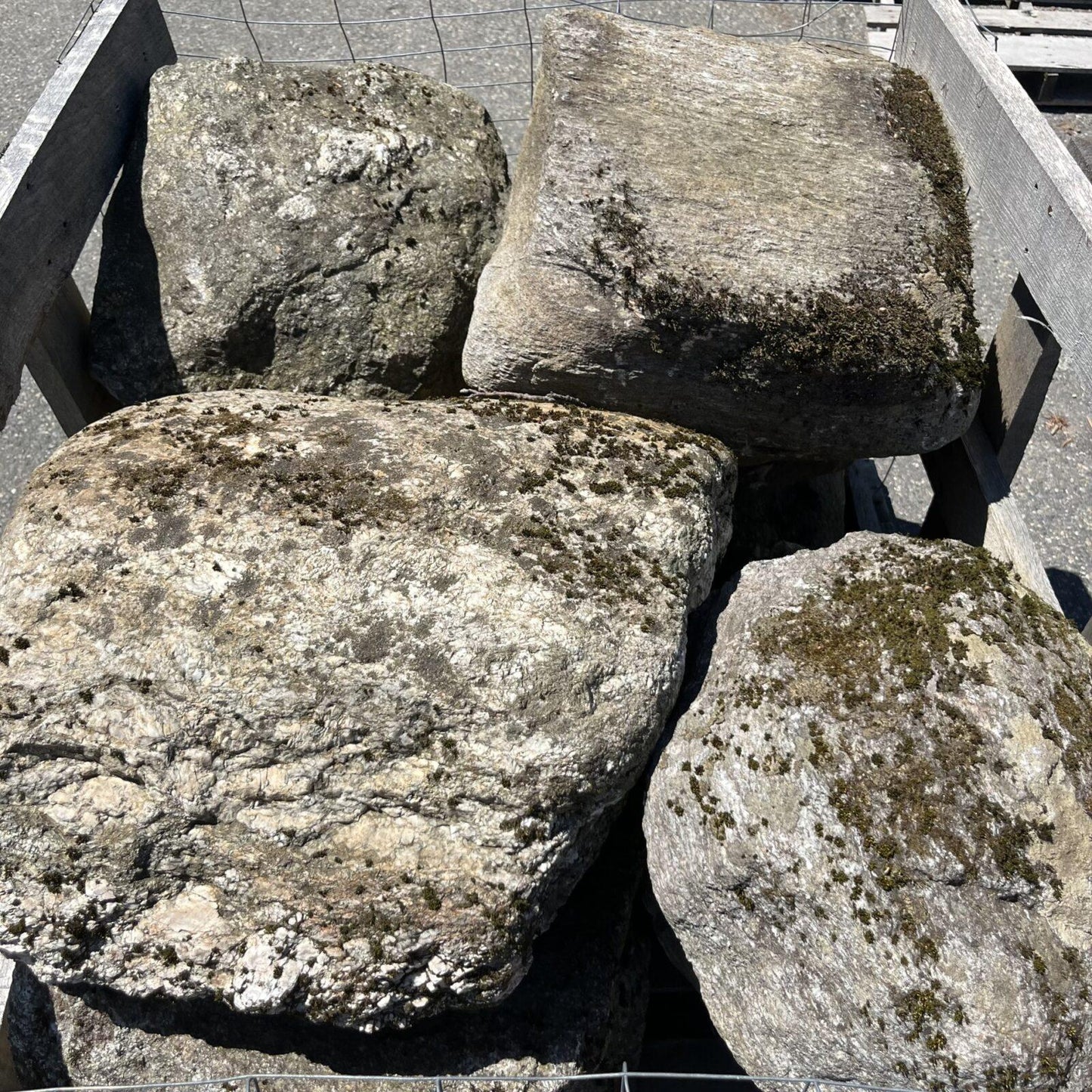 NE Boulder II