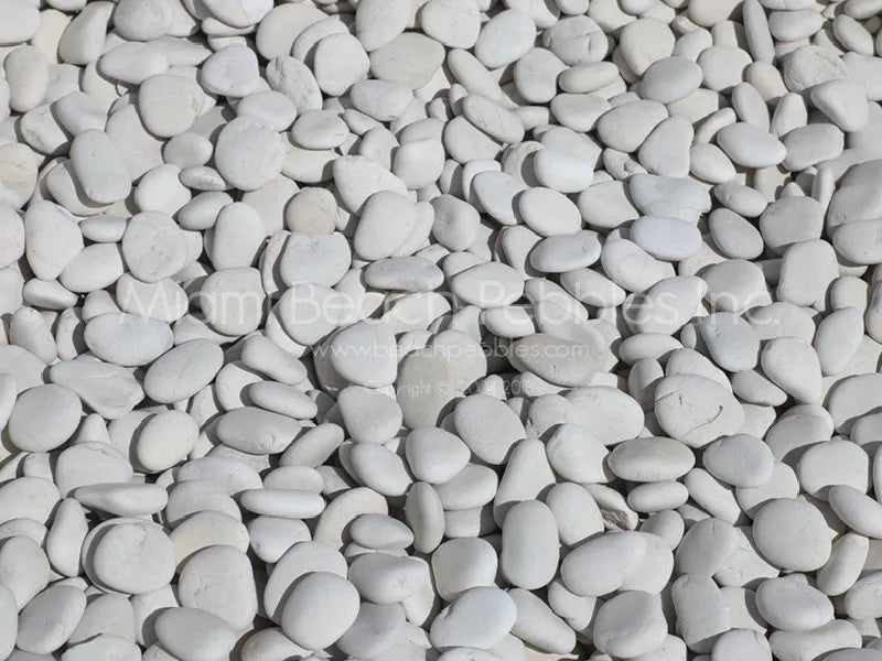Pearl White Natural Beach Pebbles