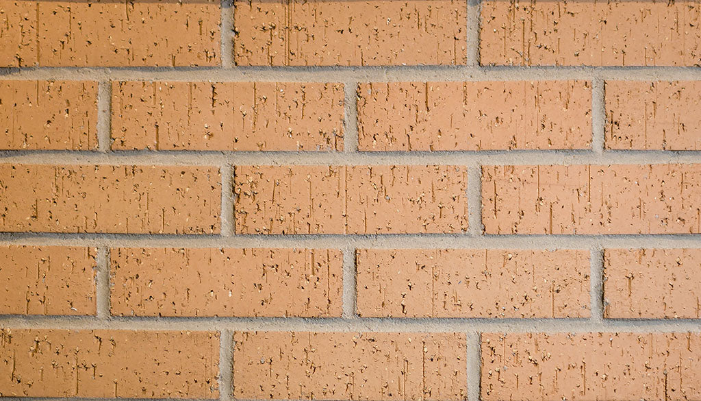 Ladrillo de la sala de barricas