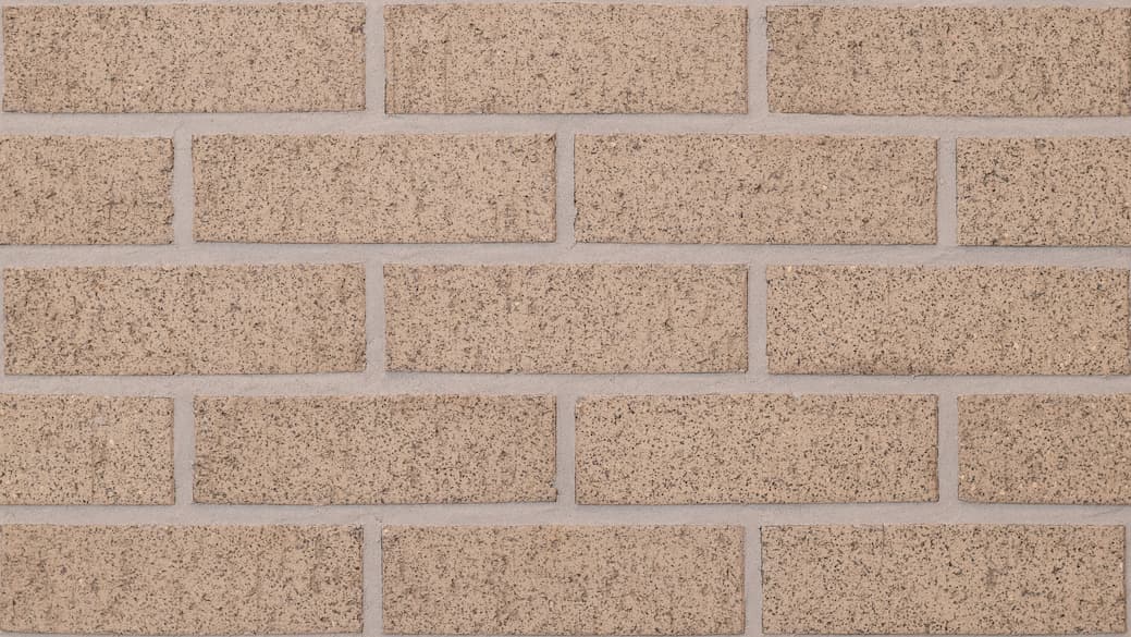 Ladrillo de la sala de barricas