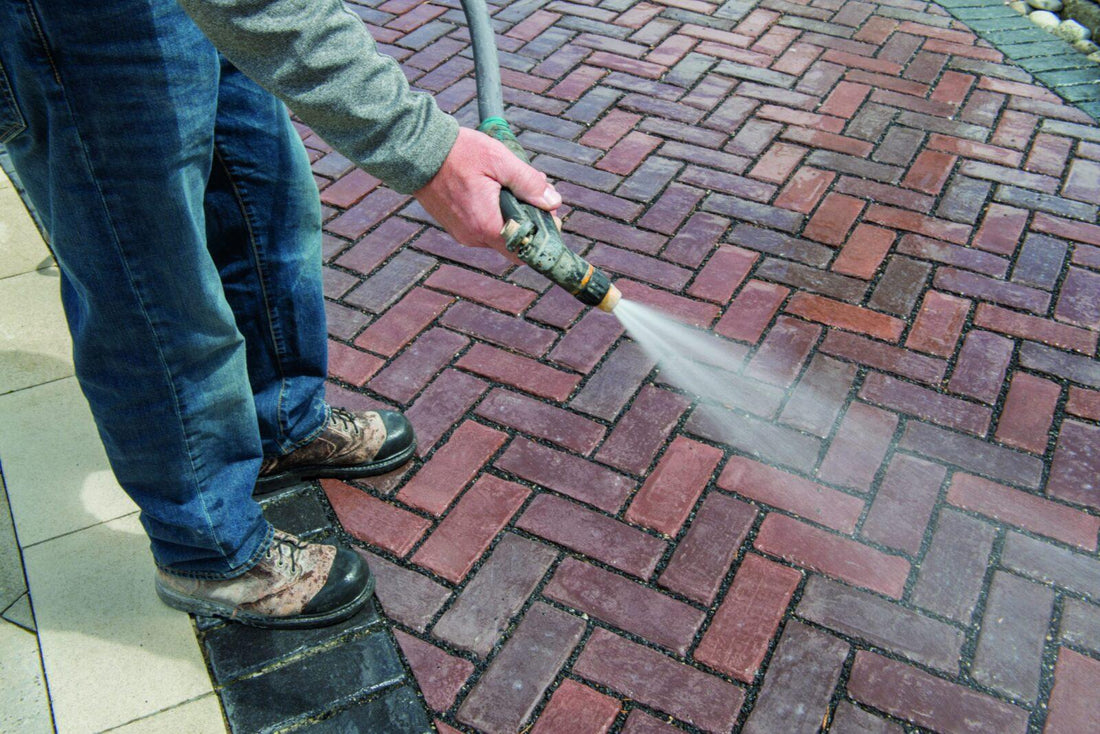 Paver Cleaning Photo