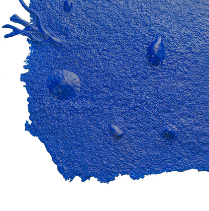 Texture Skin - Gulf Coast - Sea Shell - 12" x 12"