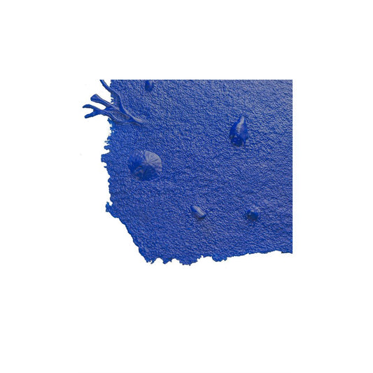 Texture Skin - Gulf Coast Sea Shell - 36" x 36"