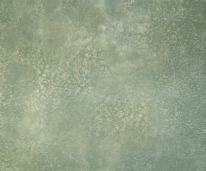 Texture Skin - Limestone - 36" x 36"