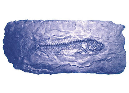 Fossil Stamp - Fish