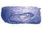 Fossil Stamp - Fish