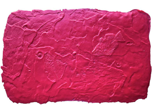 Fossil Stamp - Sea Floor