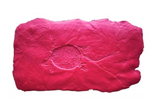 Fossil Stamp - Turtle