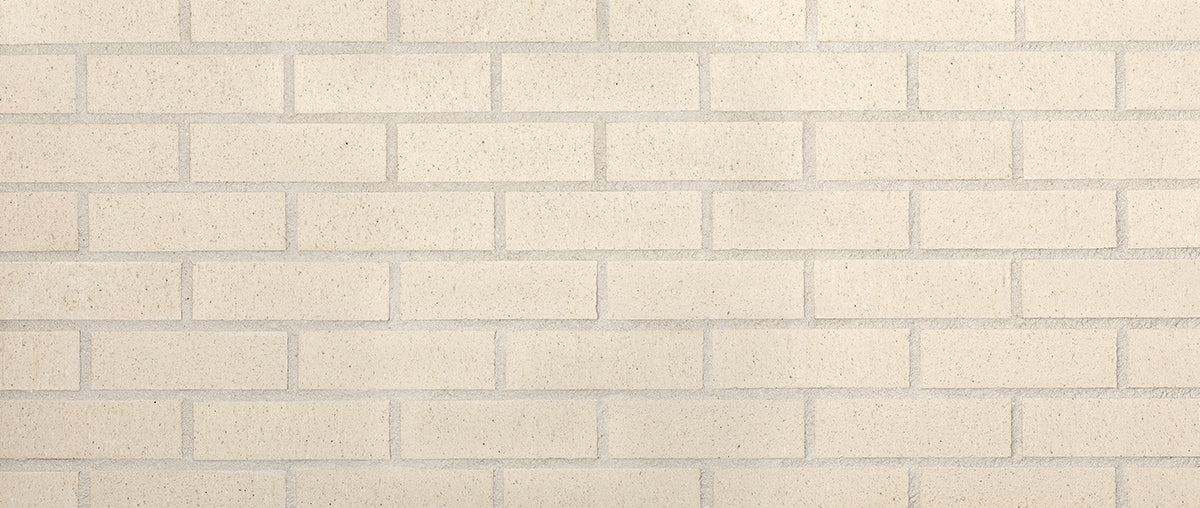 710 Seashell Thin Brick Veneer