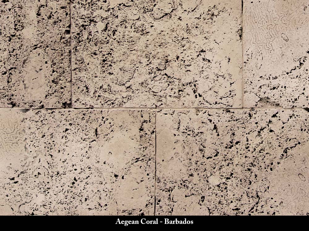 Barbados Aegean Coral Stone Veneer