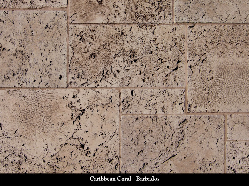 Barbados Caribbean Coral Stone Veneer