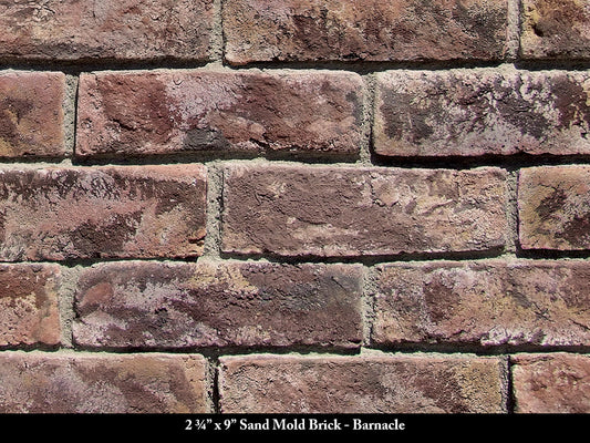 Barnacle Sand Mold Thin Brick Veneer