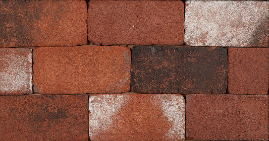 Pavimentadora de Canal Street 