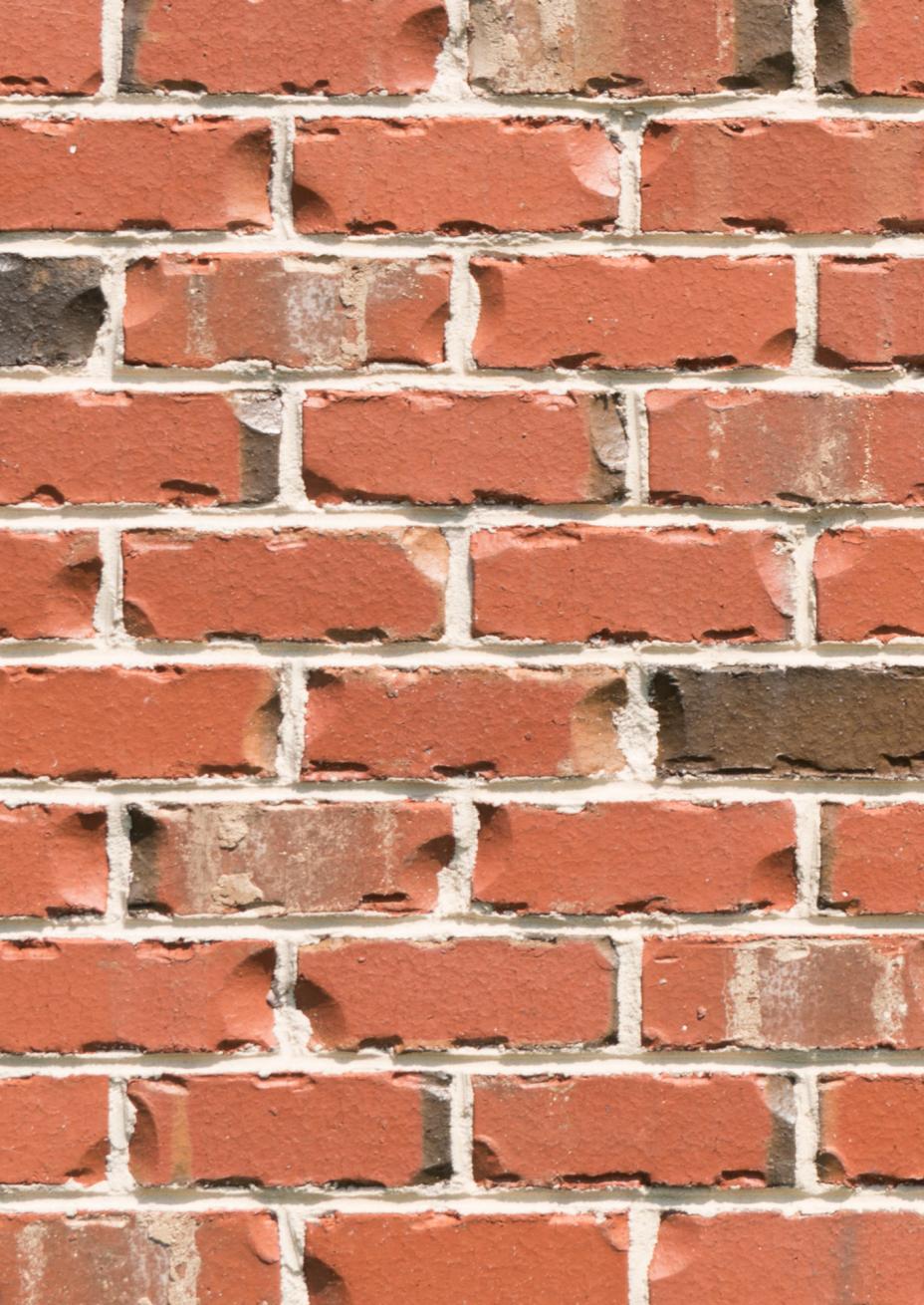 Ladrillo de Canyon Creek