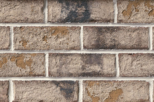 Coastal Bluff Authintic™ Brick Veneer