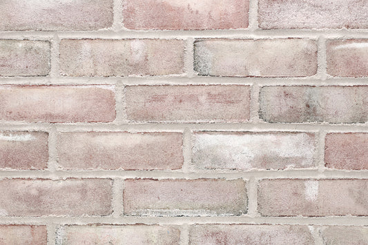 Discovery Park Thin Brick Veneer
