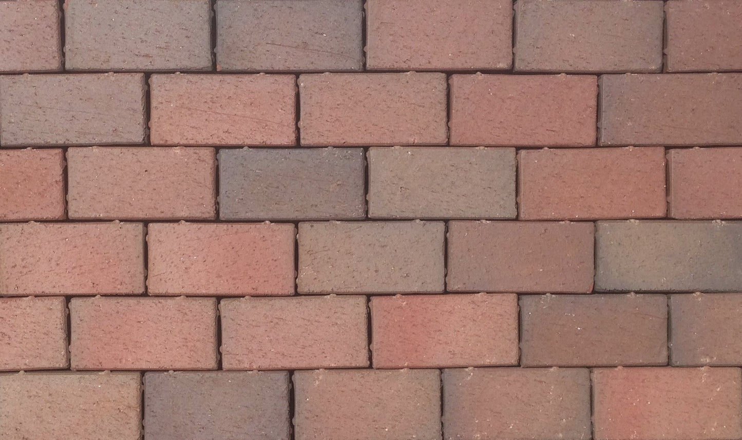 English Edge Autumn Paver