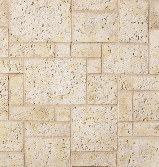 Fossil Reef Coral Stone Veneer