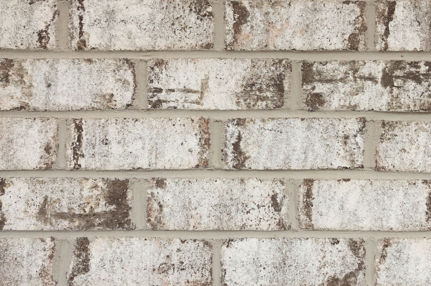 Glade Creek Wirecut Brick