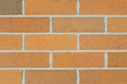 Goldenrod Ironspot Smooth Brick