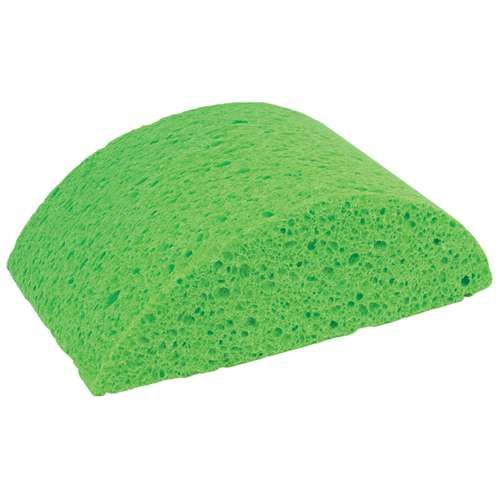Turtleback Sponge