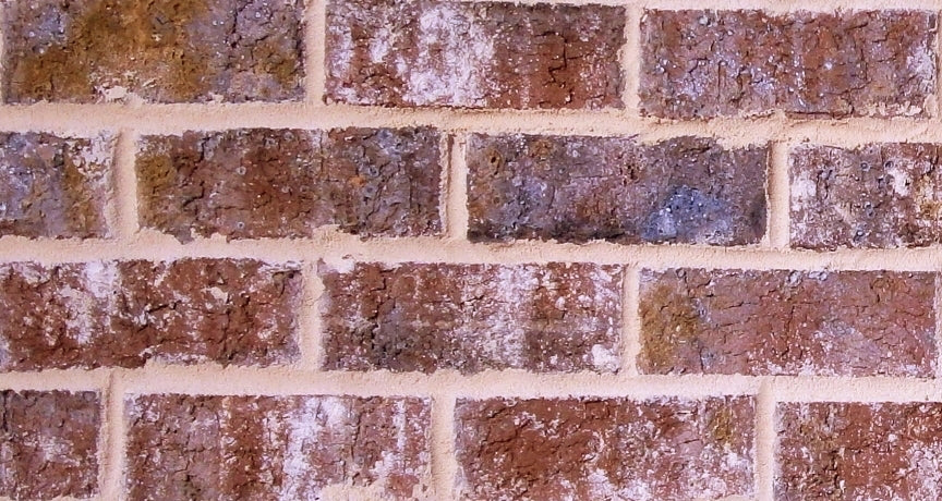 Harbour Shoals Brick