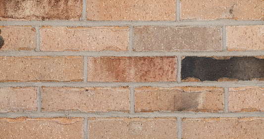 Illini Commons with Black Brick