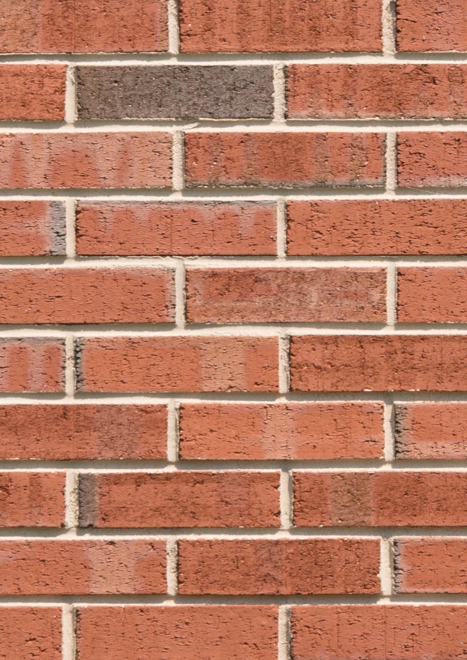 North Carolina Flashed Wirecut Brick