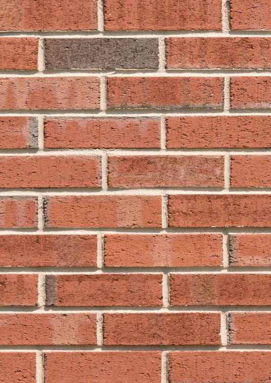 North Carolina Flashed Wirecut Brick