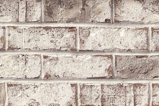Old Edisto Authintic™ Brick Veneer