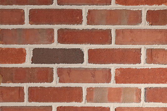 Ole Canarsie Thin Brick Veneer