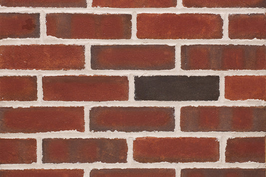Palisades Park Thin Brick Veneer