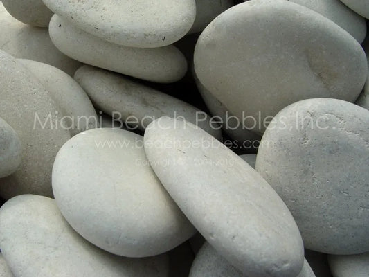 Pearl White Natural Beach Pebbles
