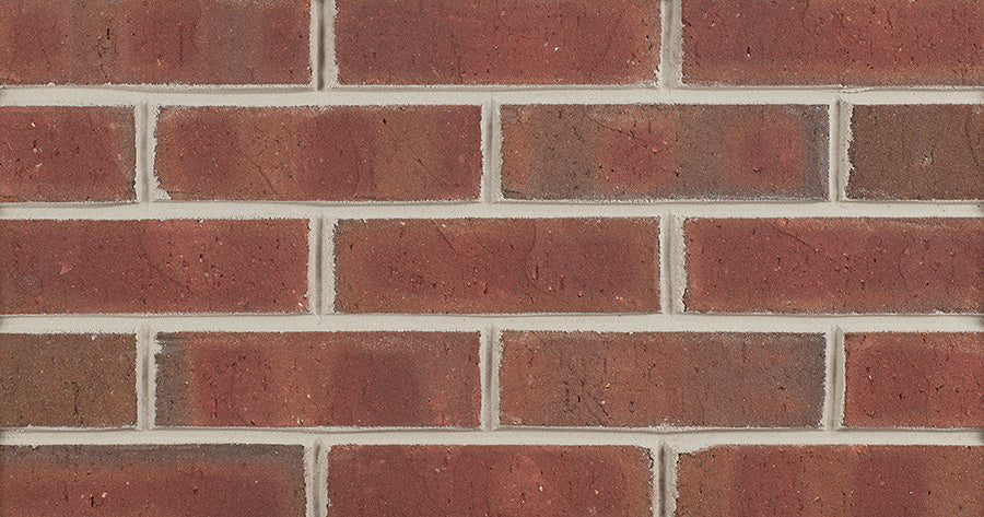 Plymouth Brick
