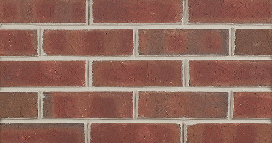 Plymouth Brick