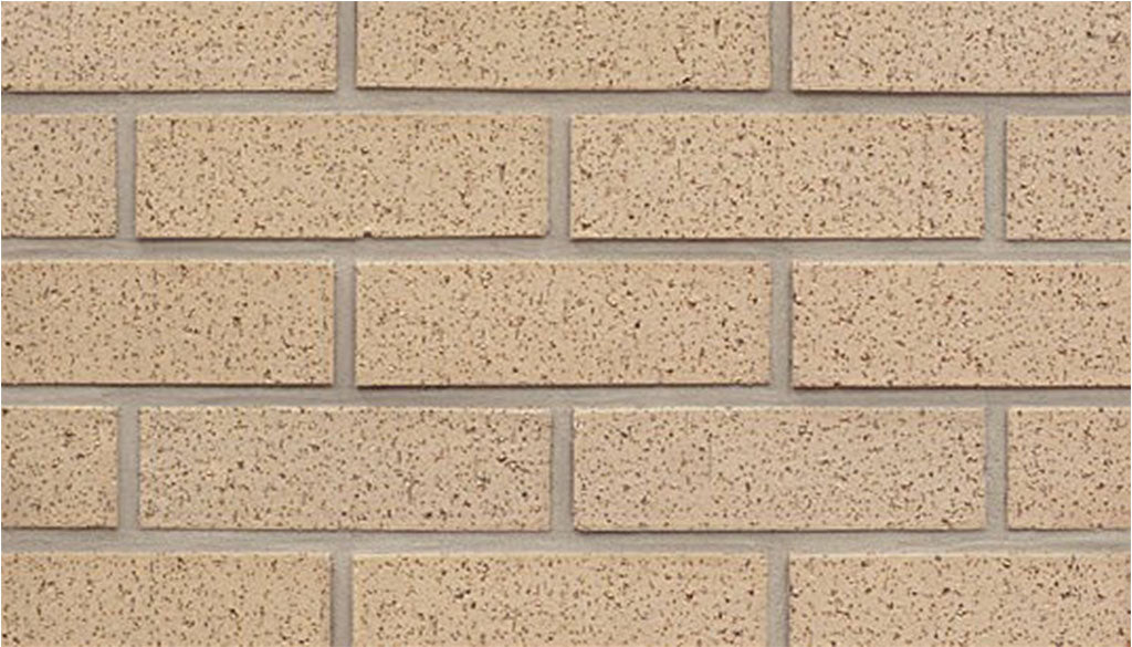 Ladrillo de la sala de barricas