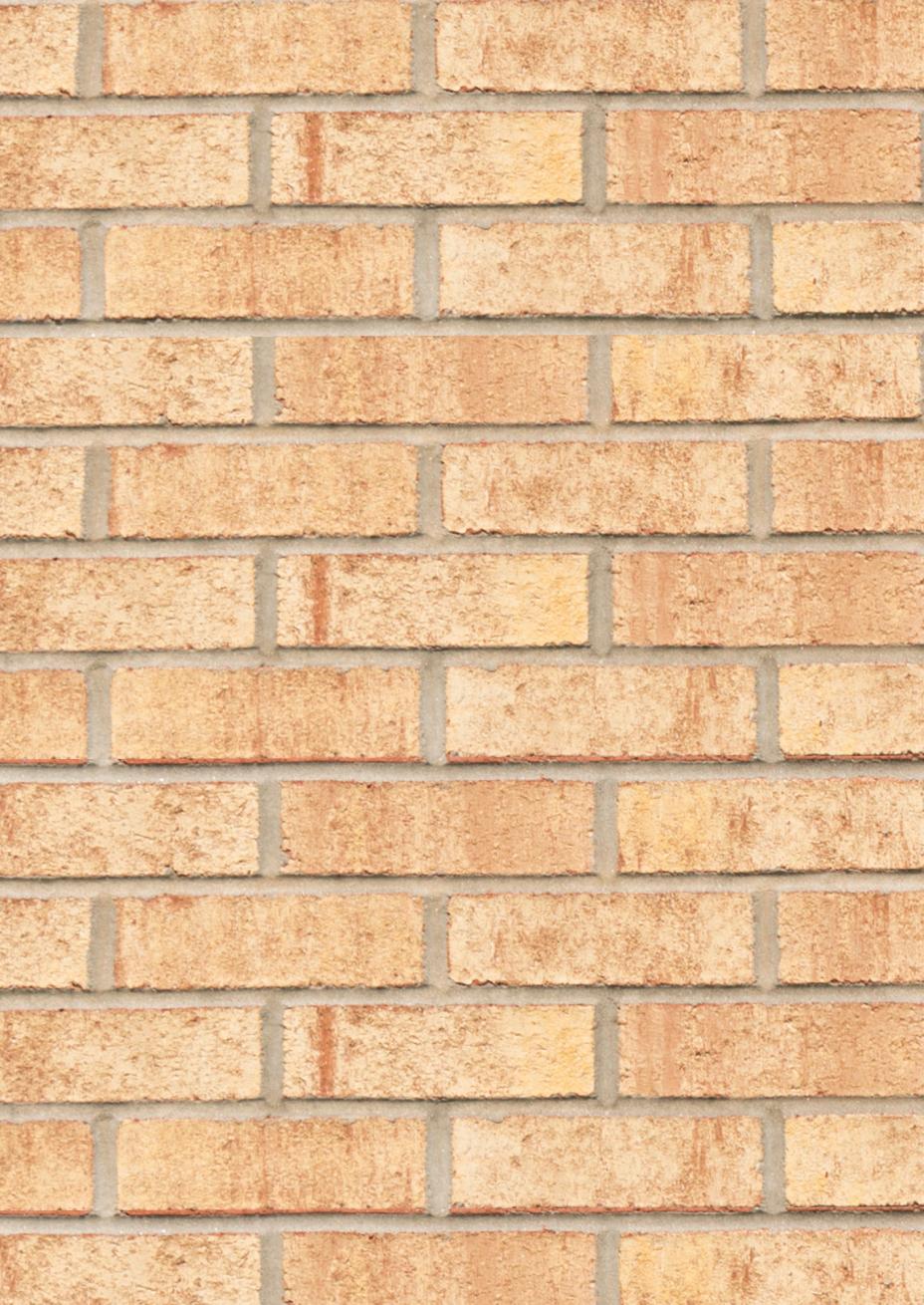 Sandstone Brick