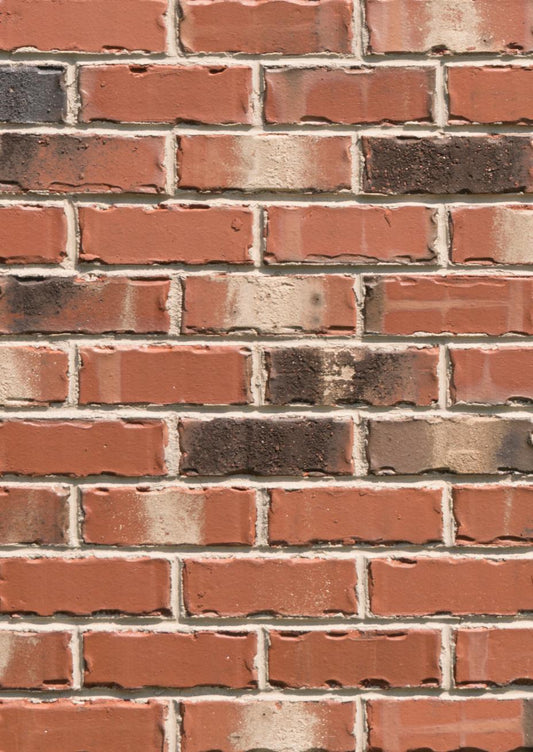Savannah Brick