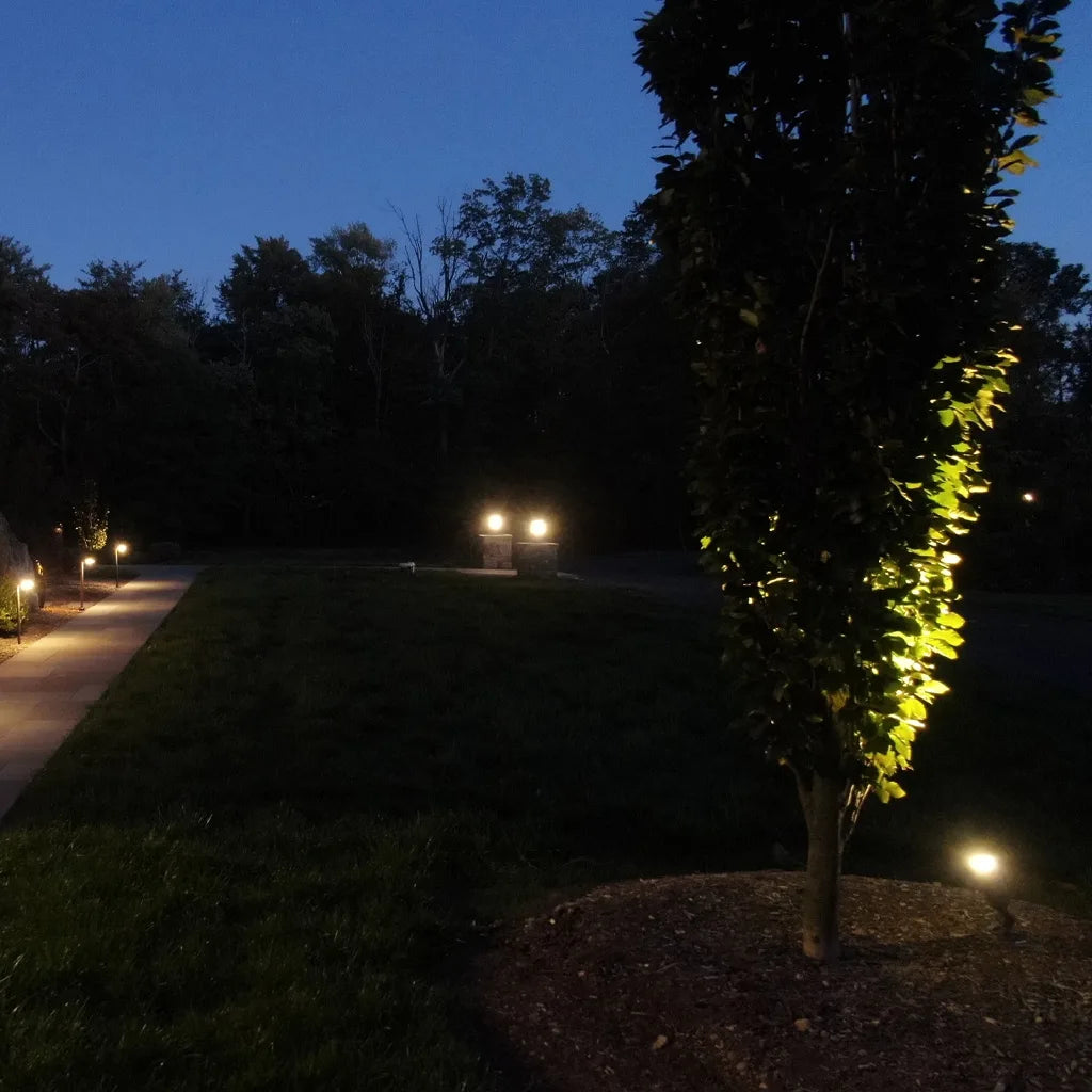 Traditional Accent Light - Free Shipping