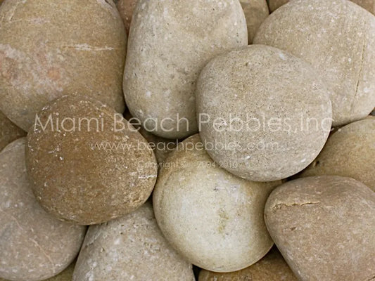 Tan Natural Beach Pebbles