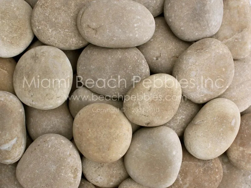 Tan Natural Beach Pebbles
