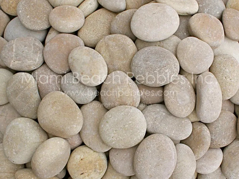 Tan Natural Beach Pebbles